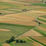 強制換価手続により換価された場合の資産の譲渡に係る消費税の取扱い