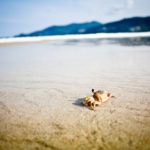 消費税の届出書を提出期限までに提出し忘れた場合の確認事項と対処法