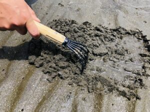 潮干狩りや釣り堀の入場料や持ち帰り料金の軽減税率、簡易課税の事業区分